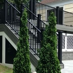 Fret Bk Square 1.5 Bk (9) - A_Fazio