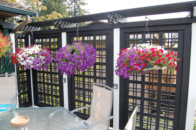 backyard privacy fence lattice