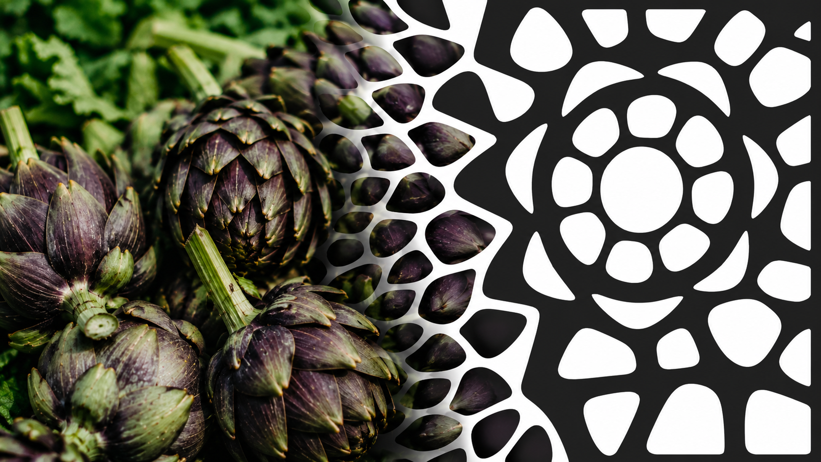 artichoke_lattice_design_merge